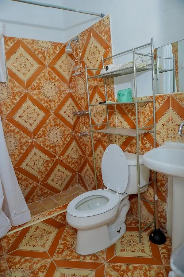 A Taste Of Jamaica Lavern'S Place Ocho Rios