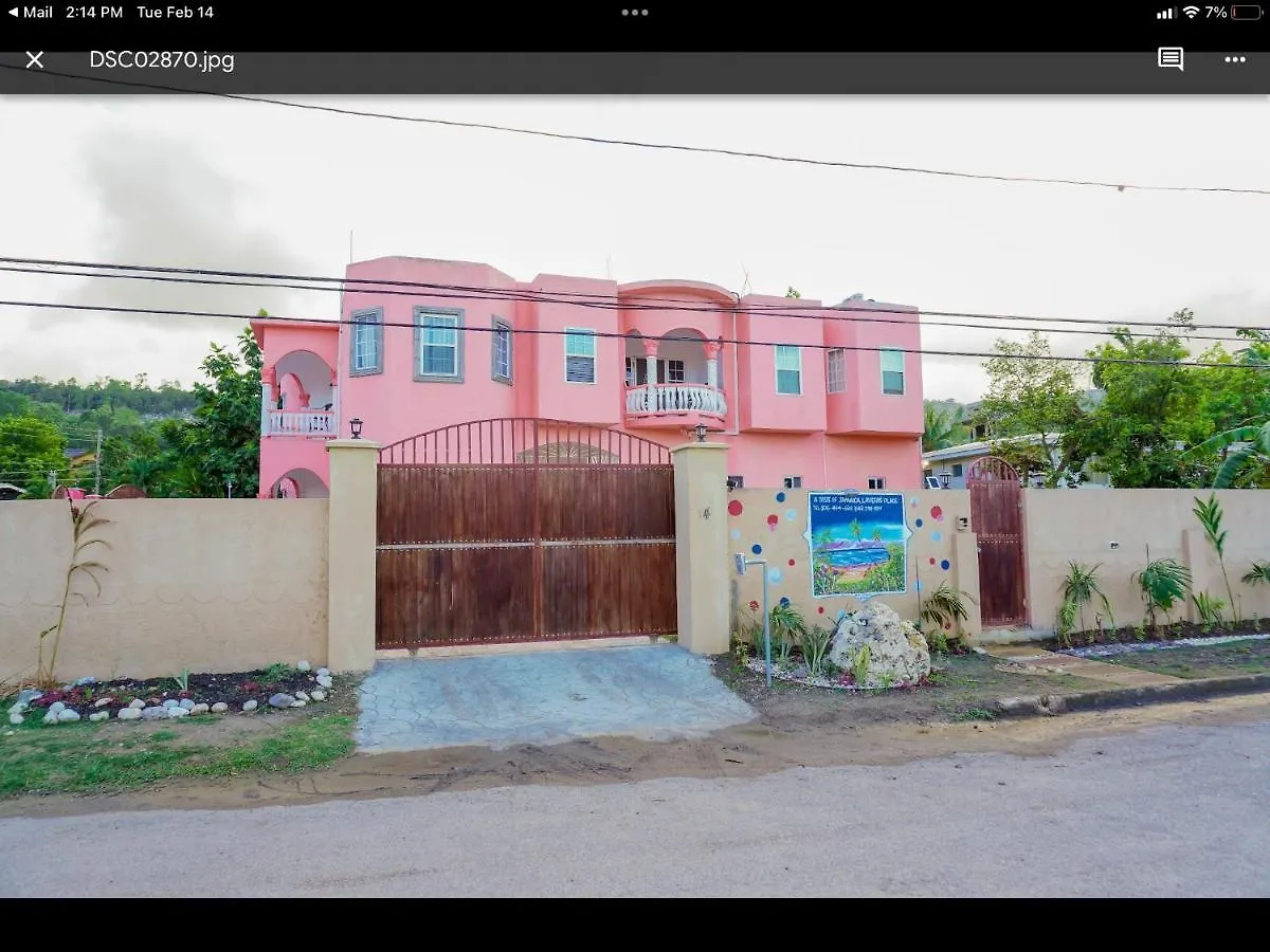 A Taste Of Jamaica Lavern'S Place Ocho Ríos